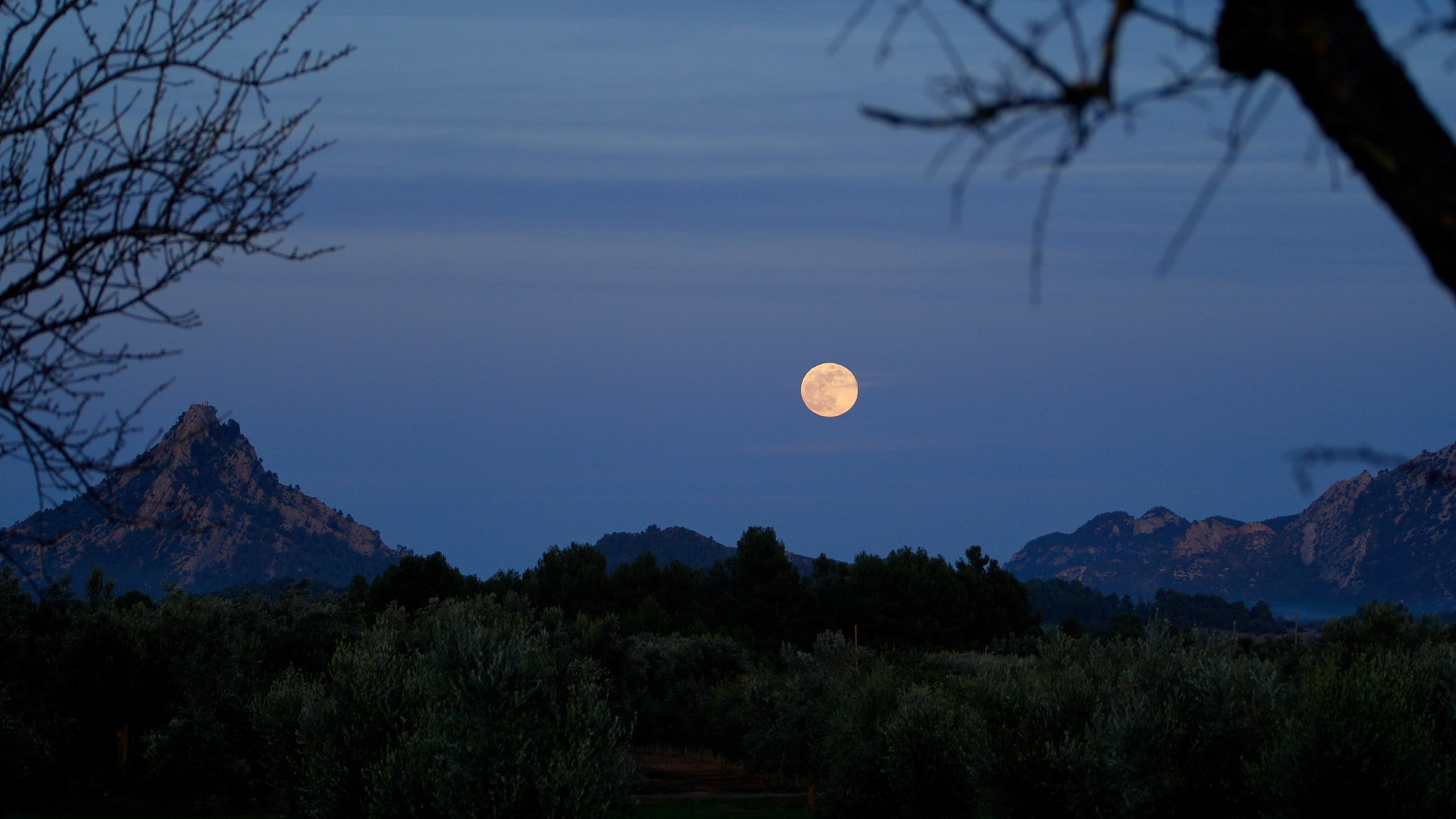 In plaats van Hello world!